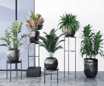 Modern Ground Green Plant Potted Plants-ID:424530582