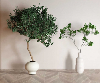 Modern Ground Green Plant Potted Plants-ID:472700659