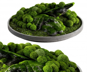 Modern Desktop Plant-ID:392215015