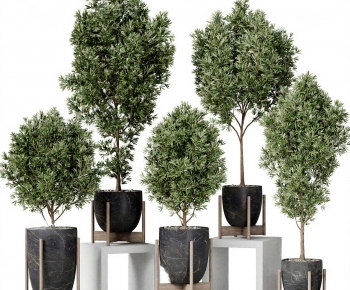 Modern Ground Green Plant Potted Plants-ID:341773033
