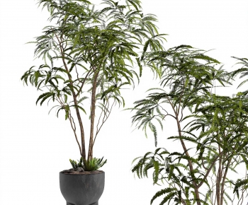 Modern Ground Green Plant Potted Plants-ID:387984047