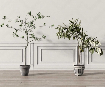 Modern Ground Green Plant Potted Plants-ID:685947901