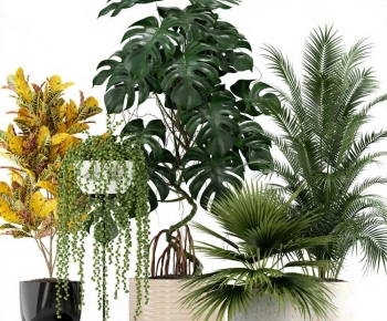 Modern Ground Green Plant Potted Plants-ID:988641022