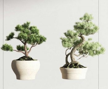 New Chinese Style Bonsai-ID:559627064