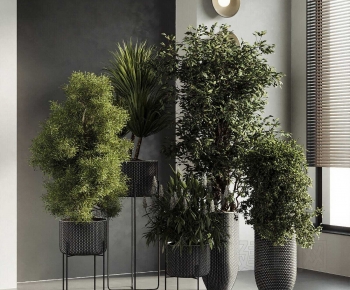 Modern Ground Green Plant Potted Plants-ID:338320972