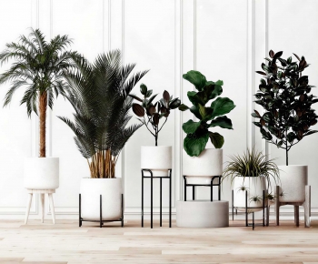 Modern Ground Green Plant Potted Plants-ID:742124086