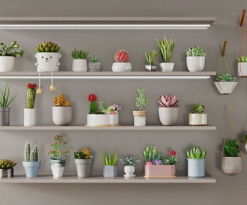 Modern Potted Green Plant-ID:774873977