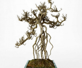 Modern Ground Green Plant Potted Plants-ID:628716957