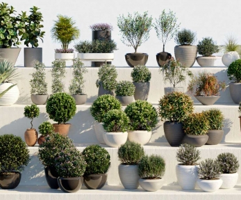 Modern Flower Bed, Flower Bowl, Flower Box-ID:743750106