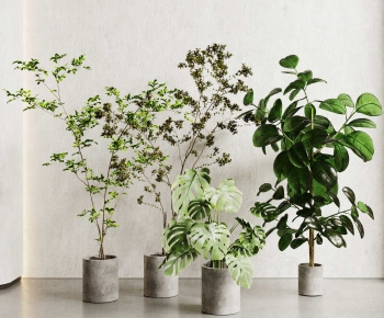 Modern Ground Green Plant Potted Plants-ID:796257027