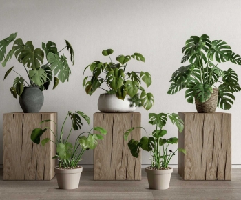 Modern Ground Green Plant Potted Plants-ID:305908926