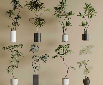 Modern Ground Green Plant Potted Plants-ID:361783986