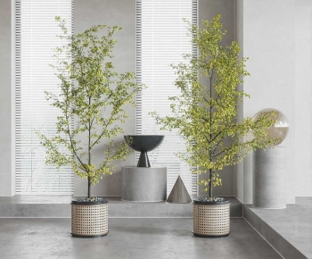 Modern Ground Green Plant Potted Plants-ID:962335116