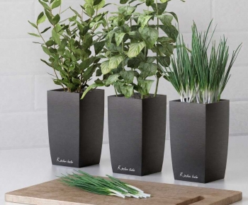 Modern Flower Bed, Flower Bowl, Flower Box-ID:148691893