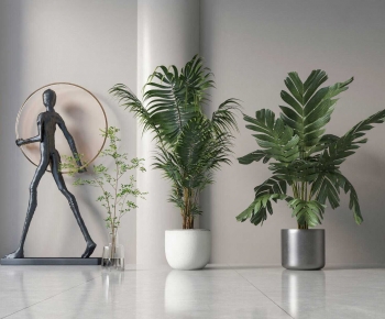 Modern Ground Green Plant Potted Plants-ID:497037895