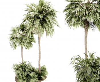 Modern Ground Green Plant Potted Plants-ID:993025067