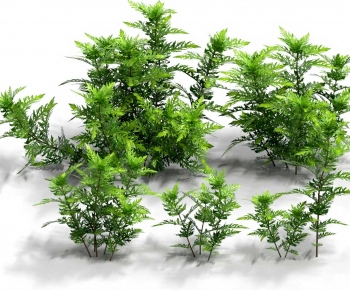 Modern Aquatic Green Plant-ID:608499058