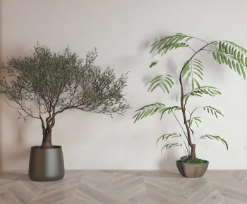 Modern Ground Green Plant Potted Plants-ID:278991945