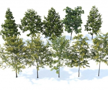 Modern Tree-ID:489353907