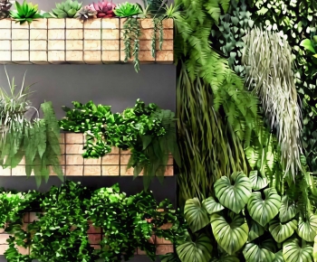 Modern Chlorophytum Comosum-ID:124619019