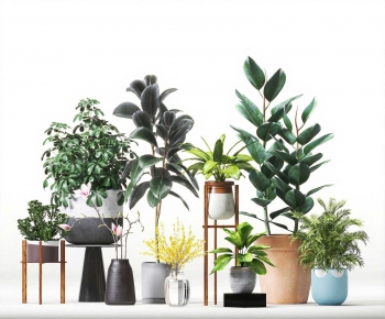 Modern Ground Green Plant Potted Plants-ID:375371092