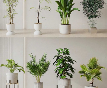 Modern Ground Green Plant Potted Plants-ID:464550973