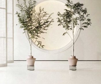 Modern Ground Green Plant Potted Plants-ID:355474003