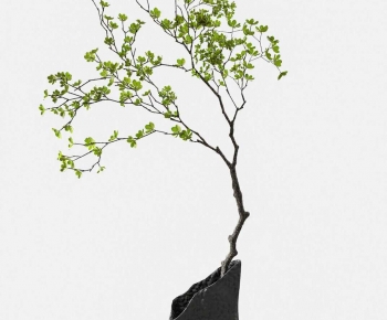 Modern Ground Green Plant Potted Plants-ID:487097982