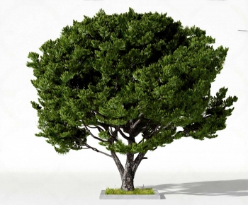 Modern Tree-ID:195056924