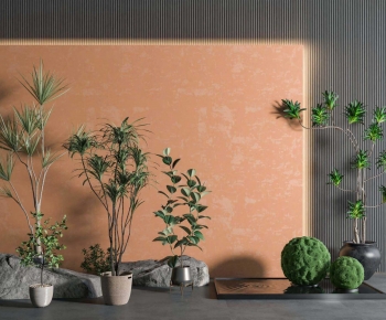 Modern Ground Green Plant Potted Plants-ID:392925023