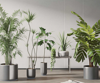 Modern Ground Green Plant Potted Plants-ID:750499016