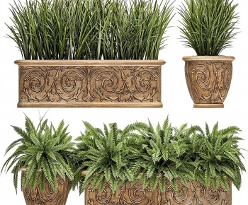 Modern Flower Bed, Flower Bowl, Flower Box-ID:900789022