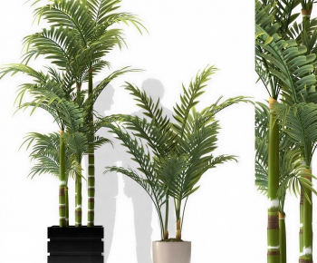 Modern Ground Green Plant Potted Plants-ID:683339129