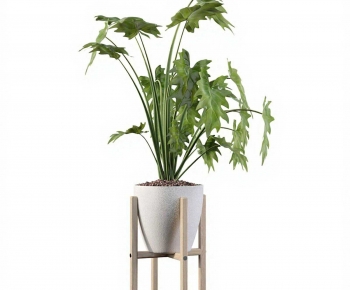 Modern Ground Green Plant Potted Plants-ID:230946069
