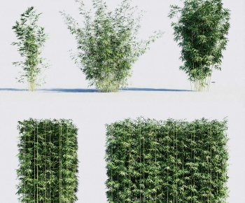 Modern Bamboo-ID:537494903