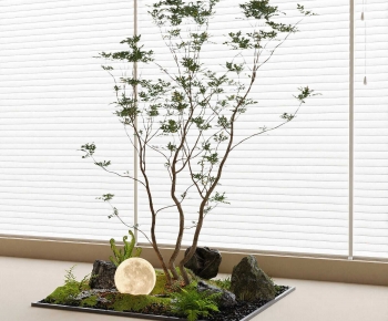 Modern Plant Landscaping-ID:436255939