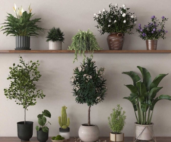 Modern Ground Green Plant Potted Plants-ID:356993918