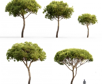 Modern Tree-ID:319947003