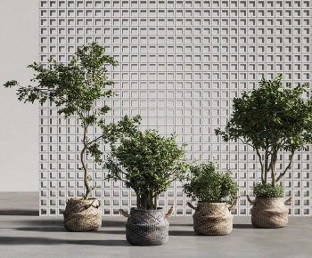 Modern Ground Green Plant Potted Plants-ID:856758123