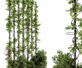 Modern Flower Bed, Flower Bowl, Flower Box-ID:173160082