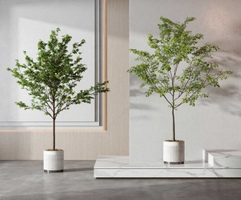 Modern Ground Green Plant Potted Plants-ID:688388114