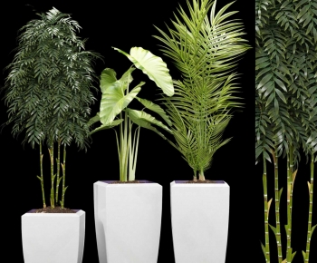 Modern Ground Green Plant Potted Plants-ID:200527917