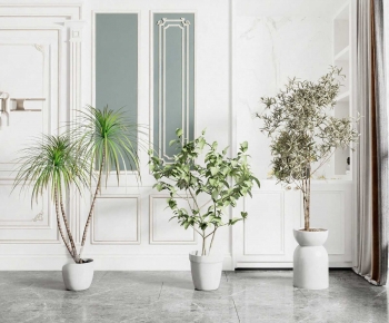 Modern Ground Green Plant Potted Plants-ID:879048112