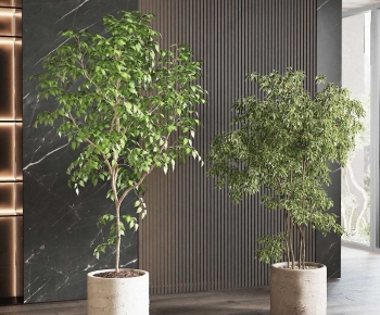 Modern Ground Green Plant Potted Plants-ID:905267003