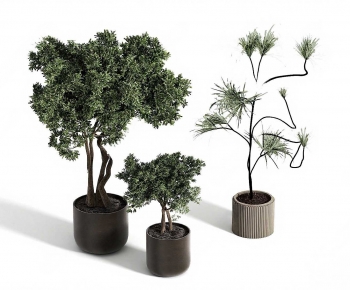 Modern Ground Green Plant Potted Plants-ID:541096937
