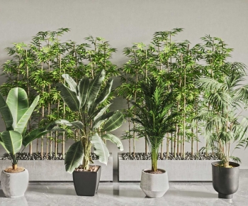 Modern Ground Green Plant Potted Plants-ID:948079111