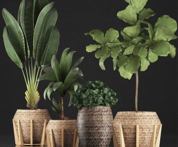Modern Ground Green Plant Potted Plants-ID:100591214