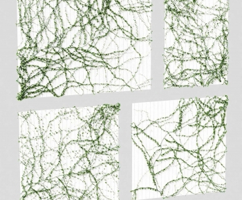 Modern Vine-ID:921765094