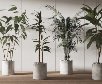 Wabi-sabi Style Ground Green Plant Potted Plants-ID:499836925