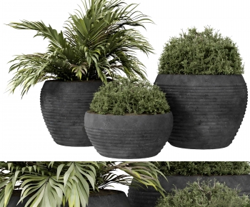 Modern Flower Bed, Flower Bowl, Flower Box-ID:860533957